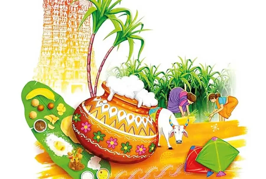 தைப்பொங்கல் பண்டிகை: ஒரு சிறு வினாடி வினா