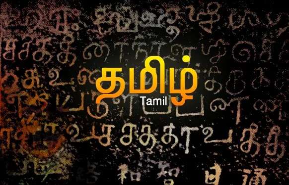 தமிழ் இலக்கணம்: வழுவற்ற வாக்கிய அமைப்பு