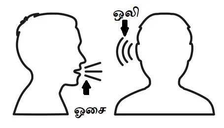 தமிழ் சொல் பொருள் வேறுபாடு - திறன் தேர்வு