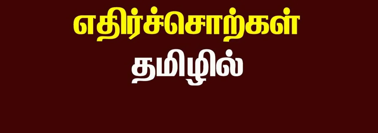 எதிர்ச்சொற்கள் சவால்